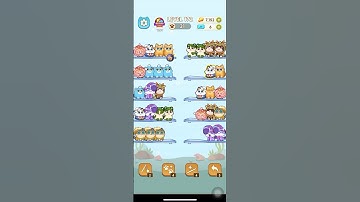 Color Cat Sort Cute Cat Game Level 172 #shorts #shortsfeed #cat #gaming