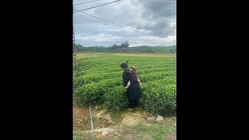 Phong tục  địu cho trẻ em dân tộc Nùng Phàn Slinh