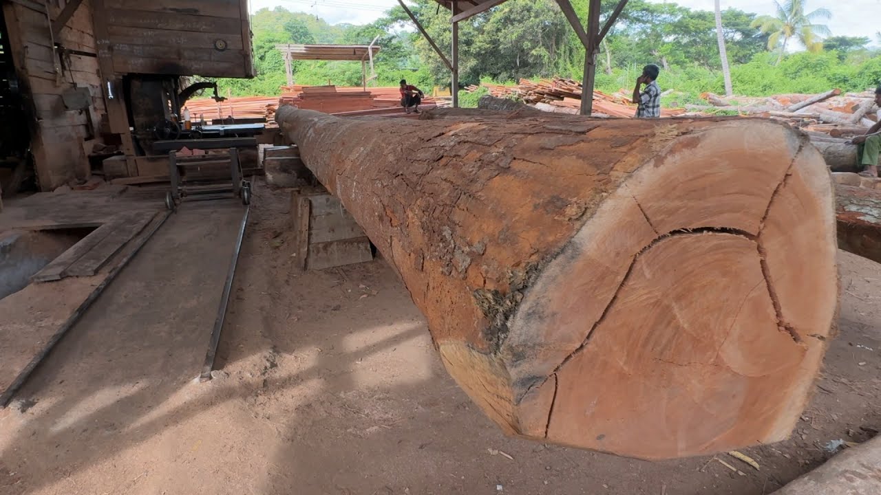 Maximizing Efficiency with a 10-Meter Wood Saw in Boat Building