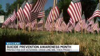 Troy holds Operation: We Remember for Veterans mental health month