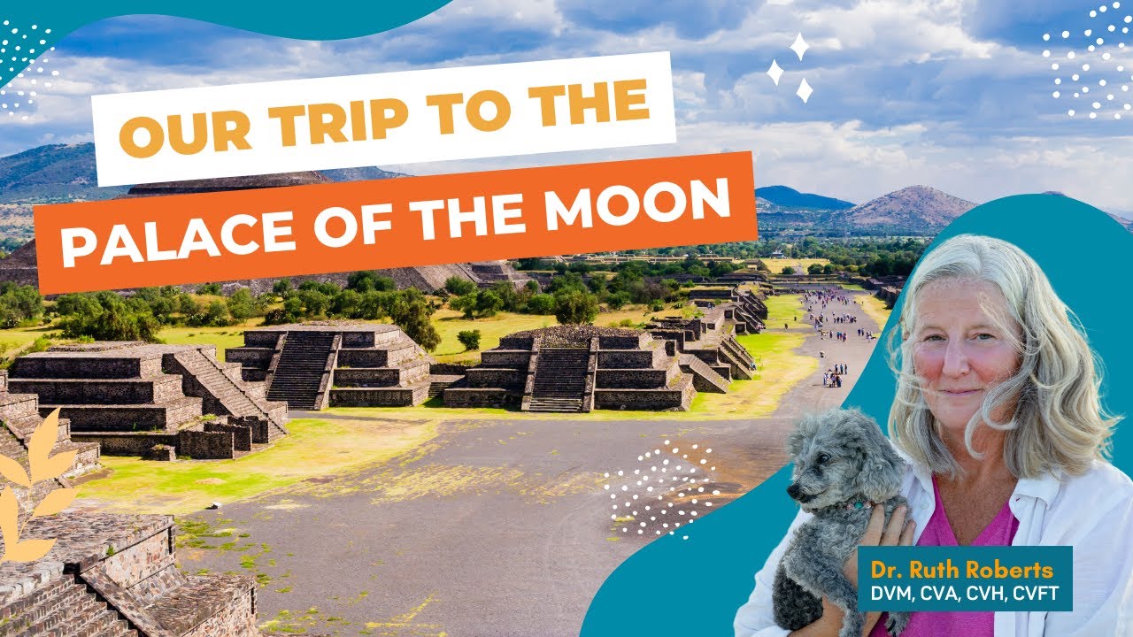 Dr. Ruth Roberts’ Trip To The Palace Of The Moon, Mexico | Dr. Ruth ...