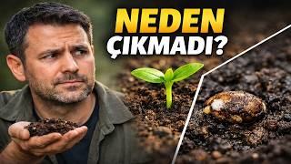 Tohumlar Çıkmıyor! Hata Sizde mi, Tohumda mı?