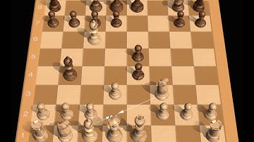 20.Basic Chess Concepts (Algebraic Notation)