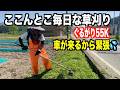 稲作をやめた田んぼの畔草をぐるがり使いが刈る!2026-05-16(土)武七の草刈り日記 mowing