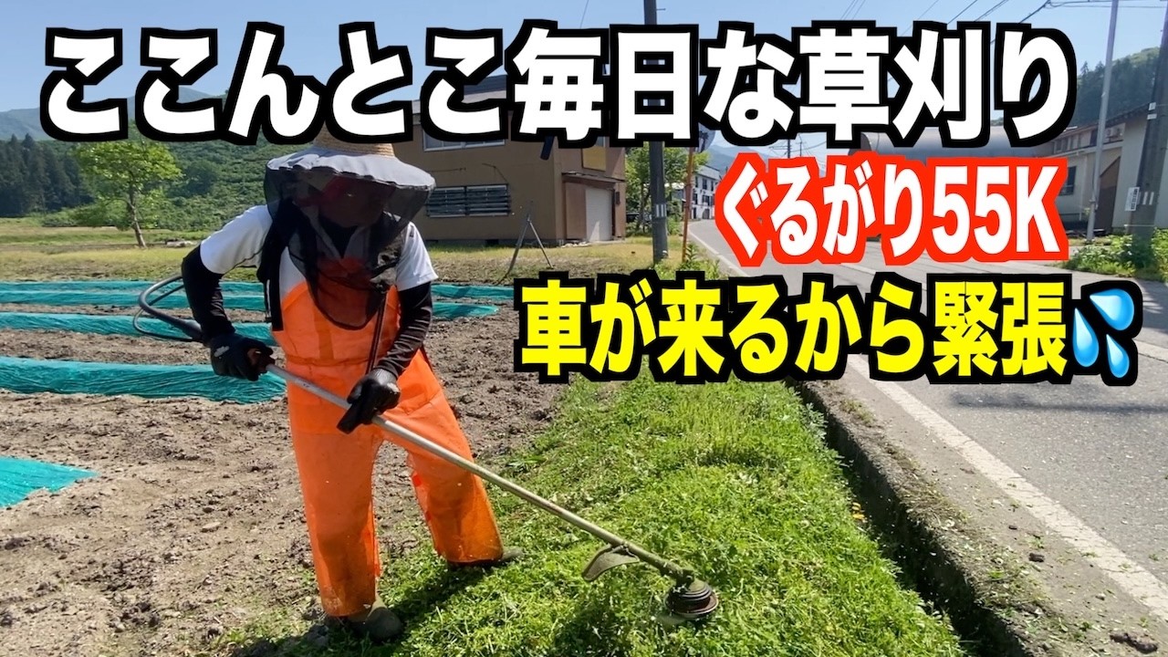 稲作をやめた田んぼの畔草をぐるがり使いが刈る!2026-05-16(土)武七の草刈り日記 mowing