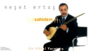 Neşet Ertaş Ne Güzel Yaratmış