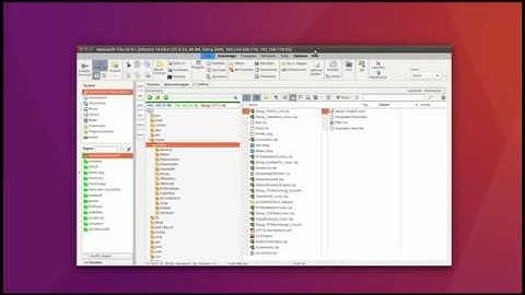 Tips and Tricks for Delphi and CrossVCL