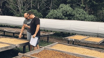 Modern Workplace | What to expect in Season 6