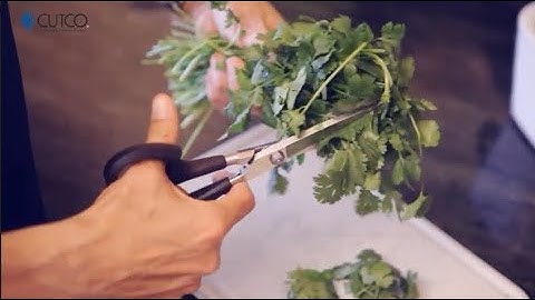 Sharp Retention: Super Shears