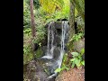 Waterfall Maleny Botanic Gardens Waterfall Maleny Botanic Gardens