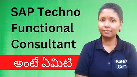 What is SAP Techno Functional Consultant (Telugu) | Pashams