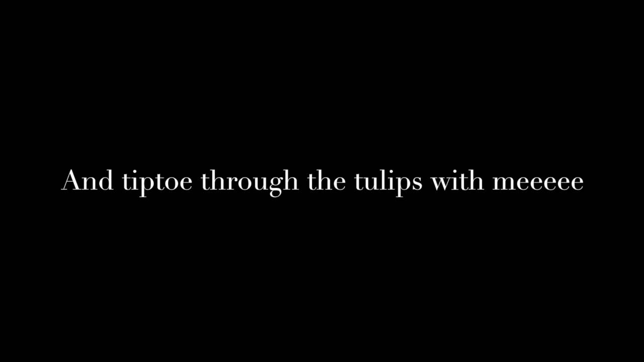 Tiptoe Through The Tulips Tiny Tim Lyrics YouTube tiptoe-through-the-tulips-tiny-tim-lyrics-youtube