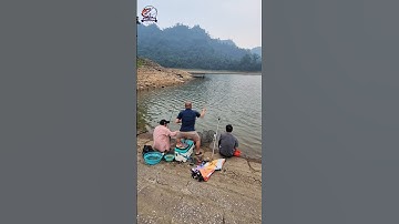 Chinh Phục Mỹ Vị Hồ Sâu – Thử Thách Câu Cá Mương Hoa #fishing #cauca