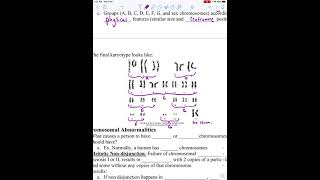 Ch. 14-1, 14-2 Karyotyping and Chromosomal Disorders
