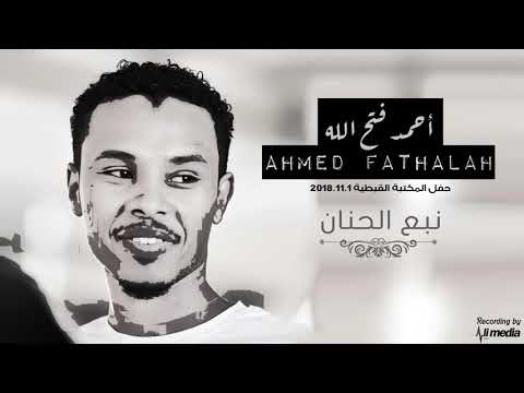 احمد فتح الله نبع الحنان حفل المكتبة القبطية   