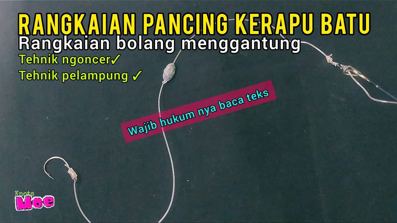 Rangkaian pancing kerapu batu ✓ rangkaian pancing dasaran 