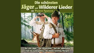 Video thumbnail of "Pseirer Spatzen - Hirscherljogn"