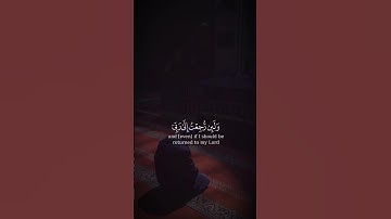 ما تيسر من سورة فصلت 🤍تلاوة تريح القلب