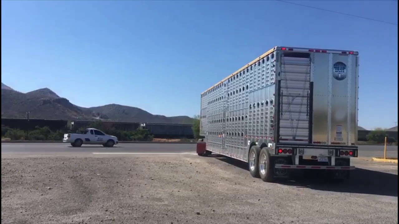Entrega de Jaula Ganadera Merritt Gold Line 2020