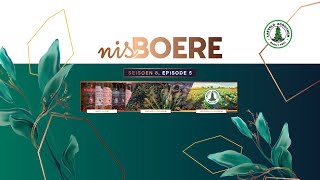 Nisboere 8 Episode 05