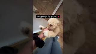 Αυτή η στιγμή της ημέρας ❤️ #κατοικιδια