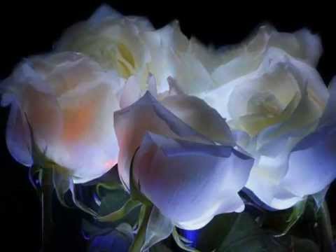 Ricky King - Ganz in weiss