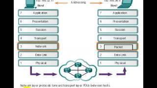Network Layer Protocols