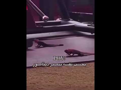 جديييييي