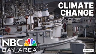 Celebrity New study paints gloomy picture of climate change's impact on commercial fishing Net Worth