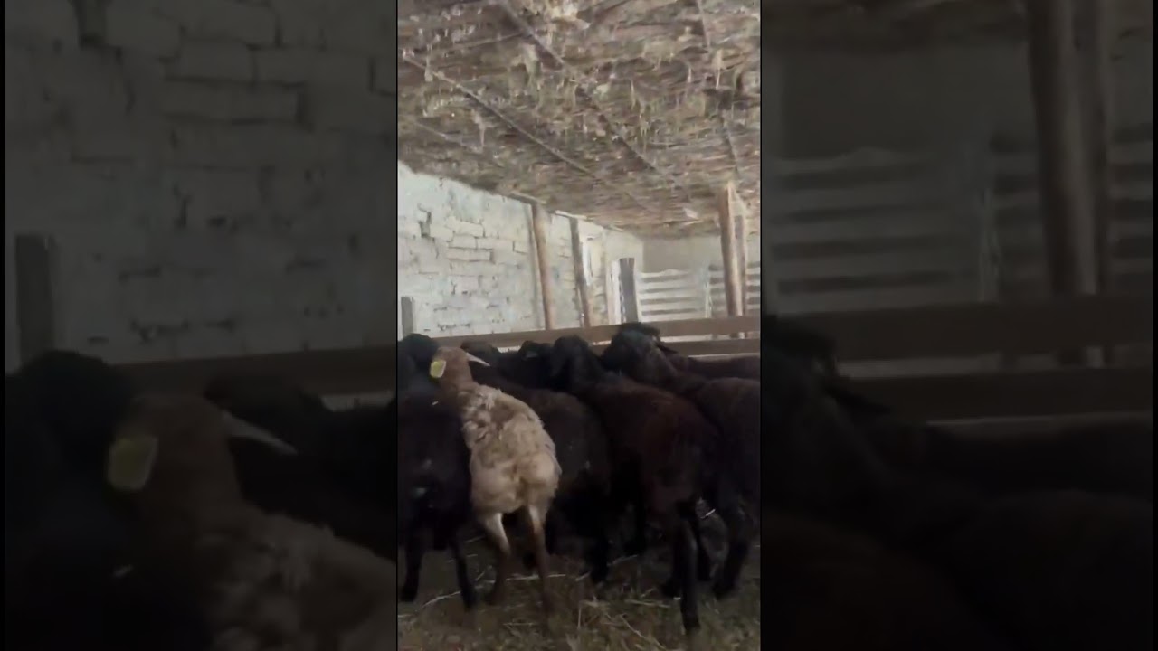 ‪+7 778 498 9507‬ ☎️