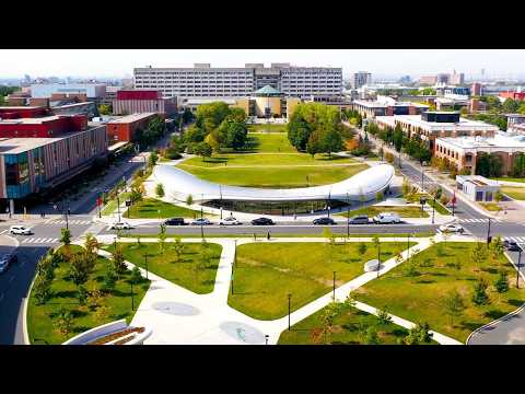 This Is York U