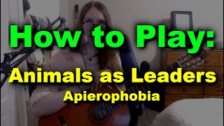 Teaching Animals as Leaders - (Classical Guitar Lesson)