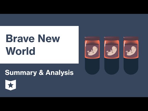 Video: Brave New World - Alternatieve Mening