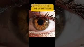 Pupil Mata eyes  pupil