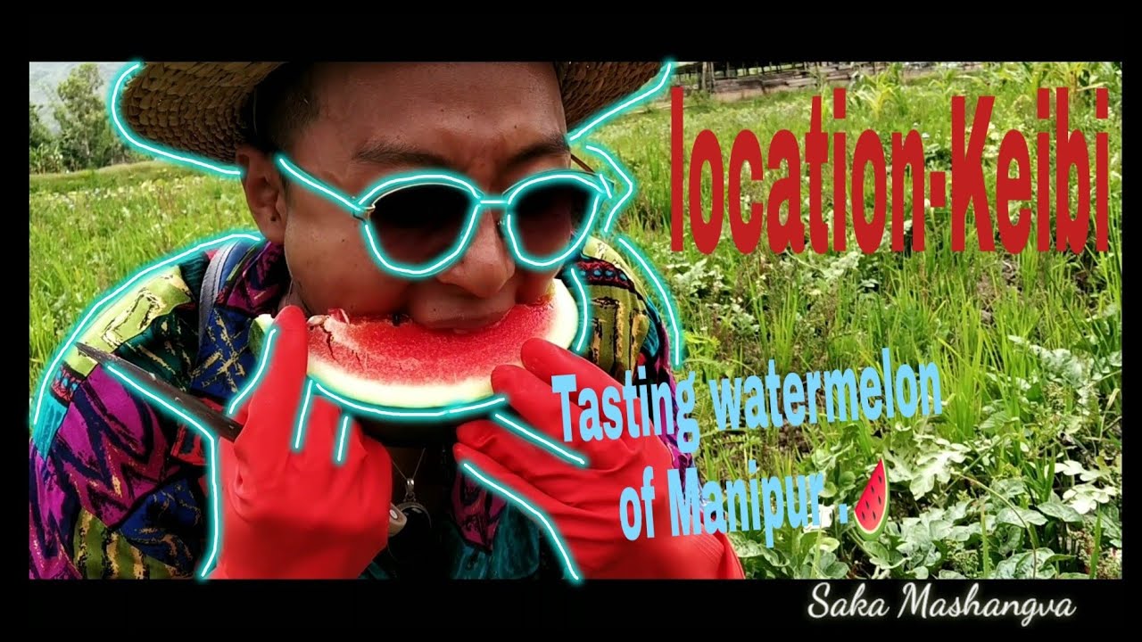 Exploring Watermelon farm 😄 🍉 