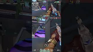 Valorant Primordium Vandal Ace. It Sounds So Good