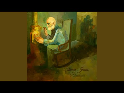 Funny Little Feeling - Shawn James
