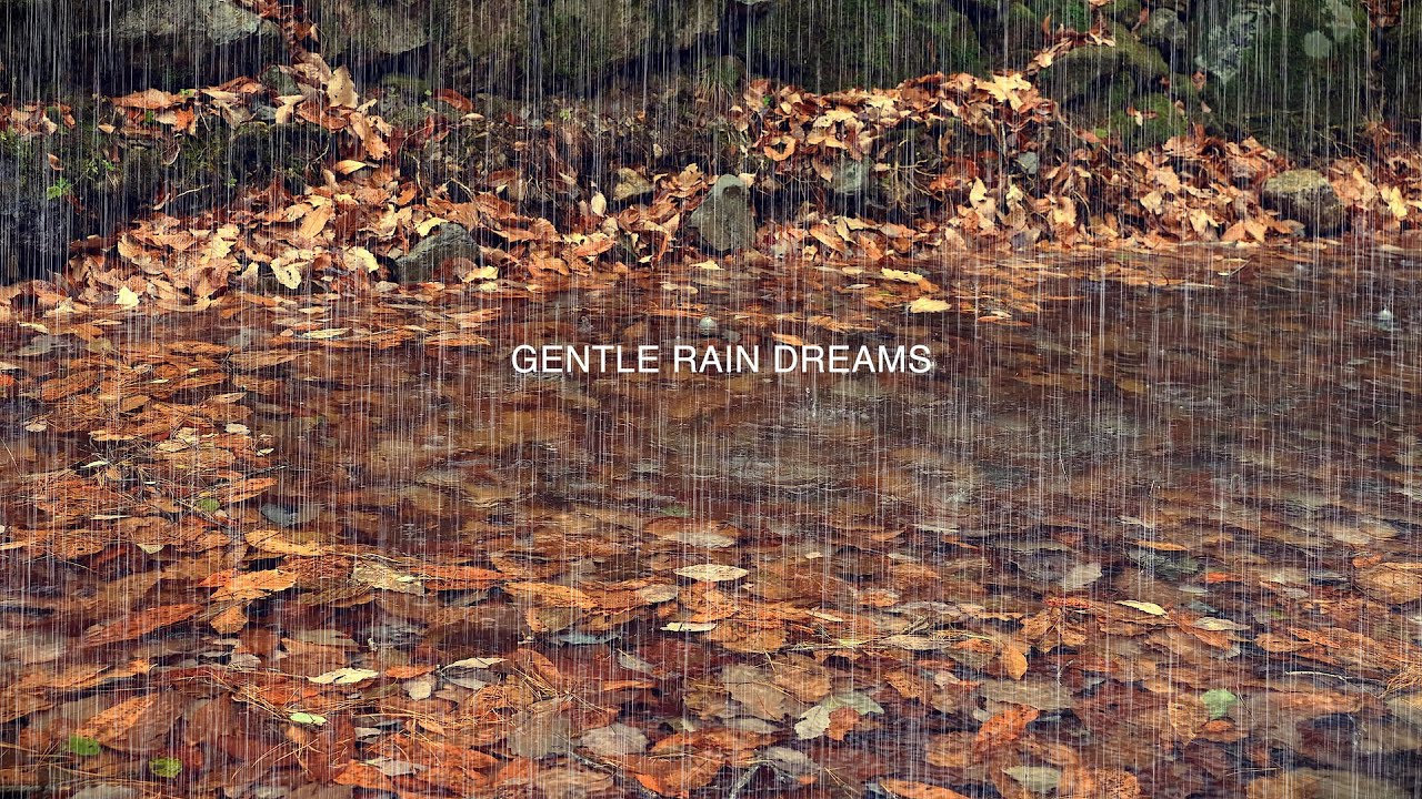 Нежный дождь на ручье Клир-Крик | Танцующие капли дождя на опавших листьях, внутренний покой и глубо
