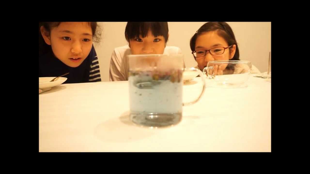 実験 観察が好きな子に 目指せ 小学生博士 絵本ナビスタイル