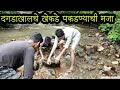 | दगडाखालचे खेकडे पकडण्याची मजा | How To Catch Crab | Kokan Nature | Kokan Vlog |