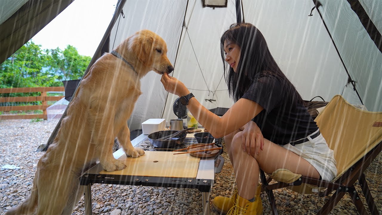 [290] Отдыхаем в палатке под дождем с моим золотистым ретривером Мару.