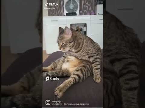 За всё придётся отвечать.
