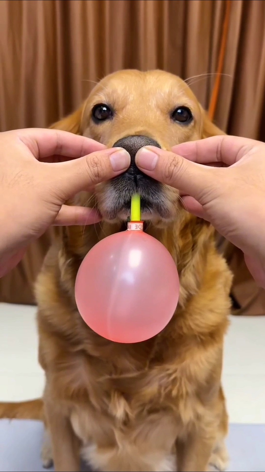 balloon blowing trick ?? #shorts