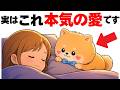 【犬の愛】本命の人にだけこっそりしている愛の行動｜犬の厳選雑学