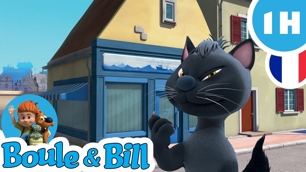 🐱Caporal le chat voleur !😱 - Nouvelle Compilation Boule et Bill FR