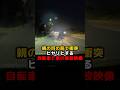 親の目の前で衝突！ヒヤリとする自転車と車の事故映像