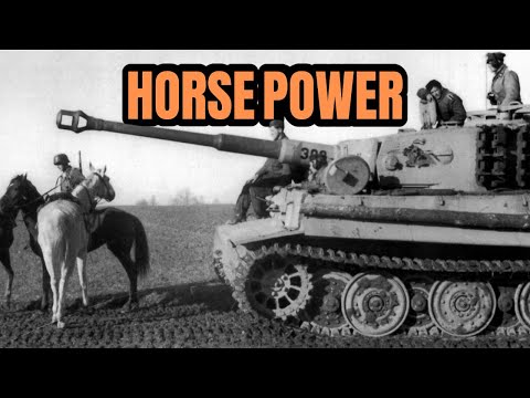 WWII Germany, More Horses Than You Think