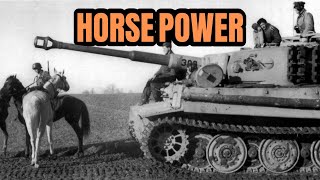 WWII Germany, More Horses Than You Think
Most images of German advances during the Second World War show columns of tanks, trucks and other motorized vehicles. But would you be surprised to learn that horses made up about 80% of Germanys logistics and supplies? In todays video we look at WWII Germany and why it had more horses than you think.
At Premier History we want to take you on a journey through time and grow your knowledge to see what it was actually like to be in some of the pivotal points in World History.
Make sure to leave a Like ๐ and a Comment ๐ down below or share this video with your friends.
- - -
๐ด Subscribe to the channel: http://bit.ly/3pLtnXf
- - -
#PremierHistory #wwiii #germany
- - -
Follow Premier History on socials:
๐ฆ Twitter: https://twitter.com/HistoryPremier
๐ธInstagram: https://www.instagram.com/premierhistory/
- - -
Almost in F - Tranquillity by Kevin MacLeod is licensed under a Creative Commons Attribution 4.0 licence. https://creativecommons.org/licenses/by/4.0/
Source: http://incompetech.com/music/royalty-free/index.html?isrc=USUAN1100394
Artist: http://incompetech.com/ WWII Germany, More Horses Than You Think