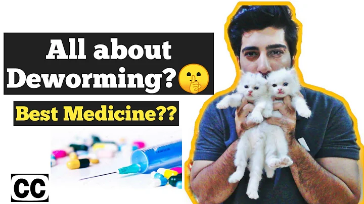 Cat deworming | How to deworm Cats and kittens | Symptoms of Cat worms |  Cat deworming is necessary - DayDayNews