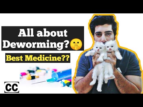 cat deworming medication